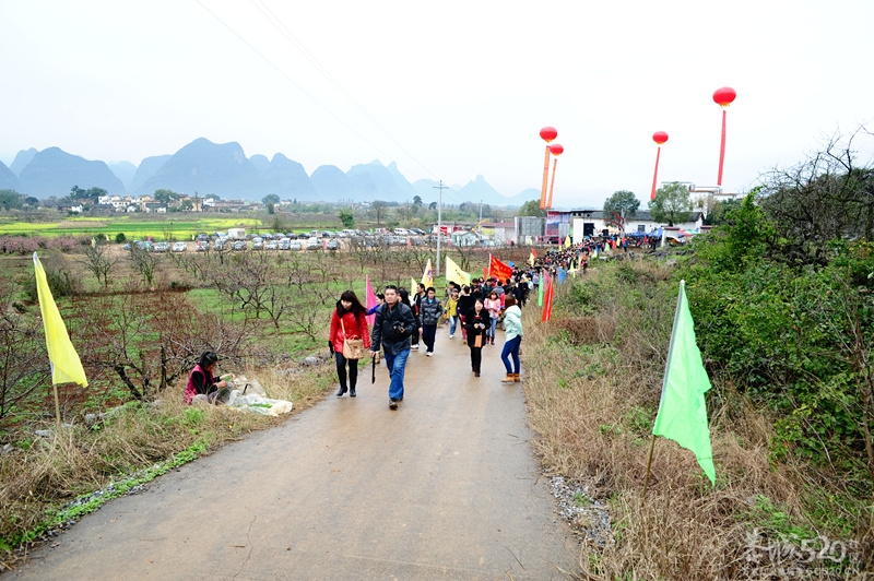 恭城520社区 2013行桃花园.走桃花运活动 图片集中营（已更新）！340 / 作者:孤单远行 / 帖子ID:61681