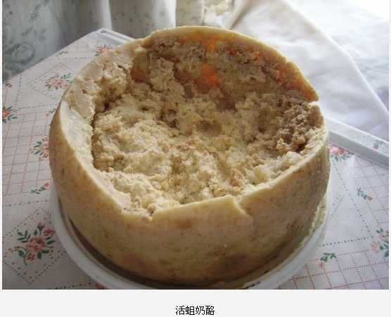 全球最惊悚的20大重口味&quot;美食&quot;741 / 作者:麻蛋 / 帖子ID:91682