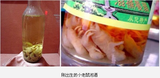 全球最惊悚的20大重口味&quot;美食&quot;950 / 作者:麻蛋 / 帖子ID:91682