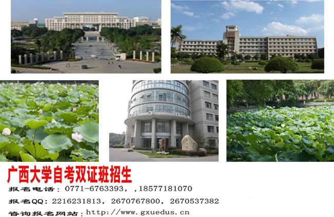 广西大学自考成考双证教育——圆您大学梦想！732 / 作者:夏天的冰块 / 帖子ID:92009