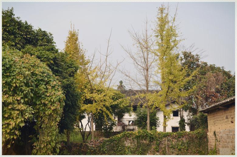 【古建遗珠北辰串】系列之——栗木常家：开平王韵今犹在 五百风霜笑东风102 / 作者:北辰 / 帖子ID:99331