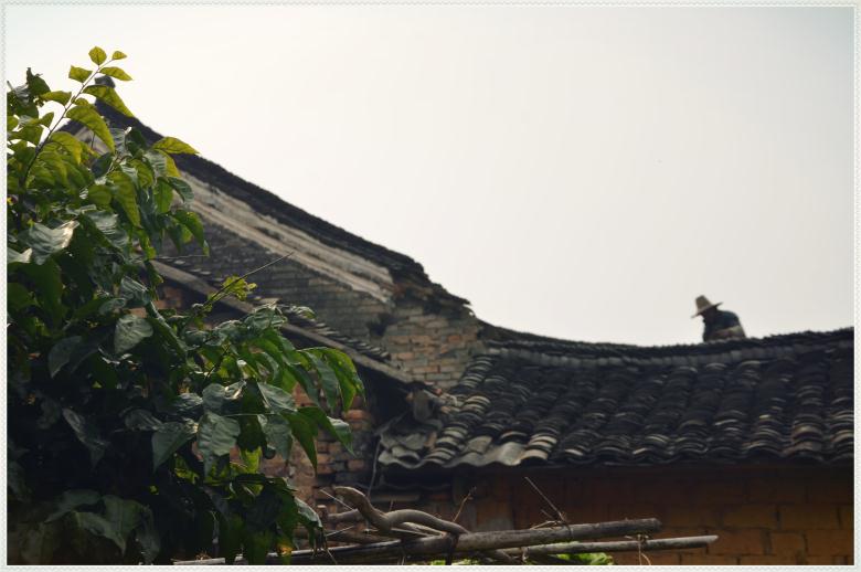 【古建遗珠北辰串】系列之——栗木常家：开平王韵今犹在 五百风霜笑东风291 / 作者:北辰 / 帖子ID:99331