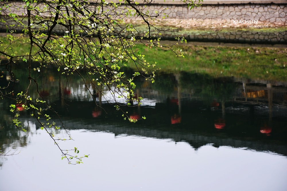 穿山即景579 / 作者:与孤独共舞 / 帖子ID:100044