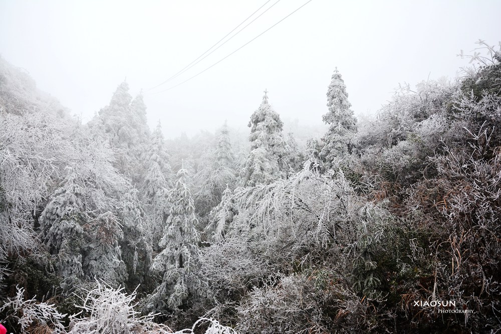 南国雪景正芬芳，赏雪何须到北国？727 / 作者:与孤独共舞 / 帖子ID:100131