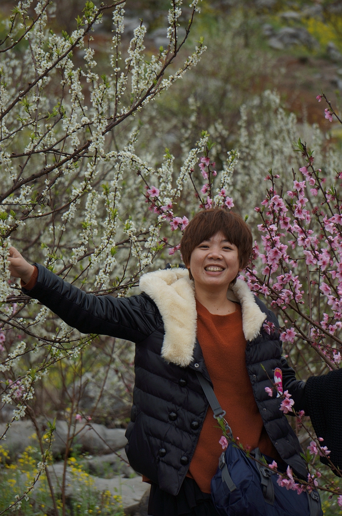 “桂林深处恭城美、桃花山上群英会”---2014恭城桃花节露营活动圆满结束~4 / 作者:社区小编 / 帖子ID:100684