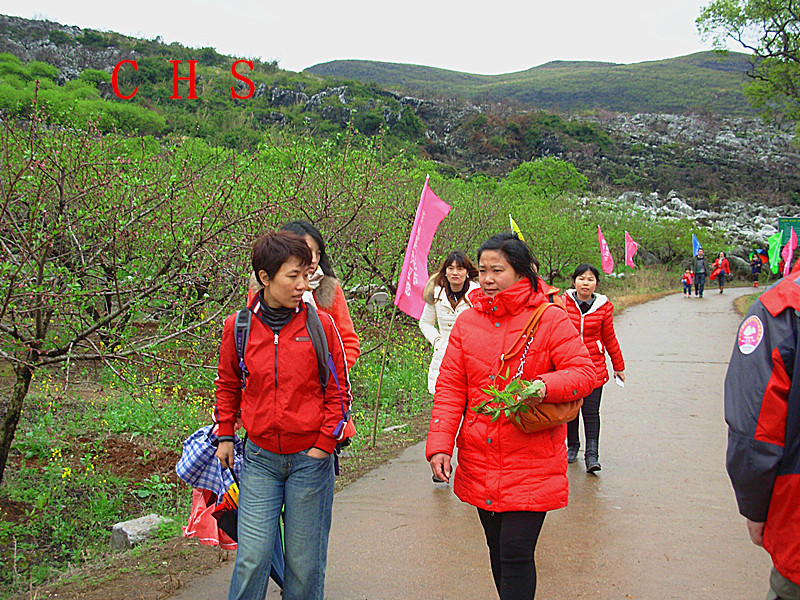 “桂林深处恭城美、桃花山上群英会”---2014恭城桃花节露营活动圆满结束~1 / 作者:瑶乡看兰 / 帖子ID:100684