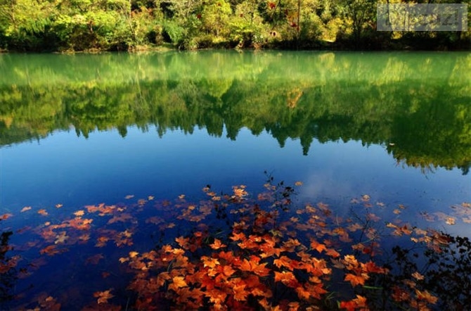 静守一处风景…让真情温暖季节的荒凉。925 / 作者:建筑19551213 / 帖子ID:105601