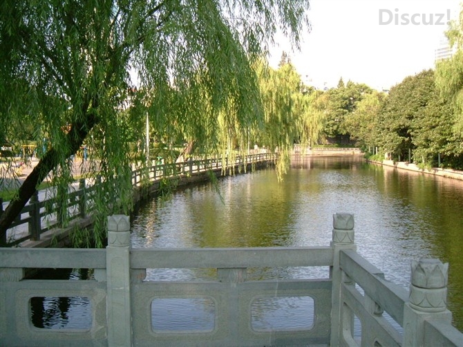 静守一处风景…让真情温暖季节的荒凉。661 / 作者:建筑19551213 / 帖子ID:105601