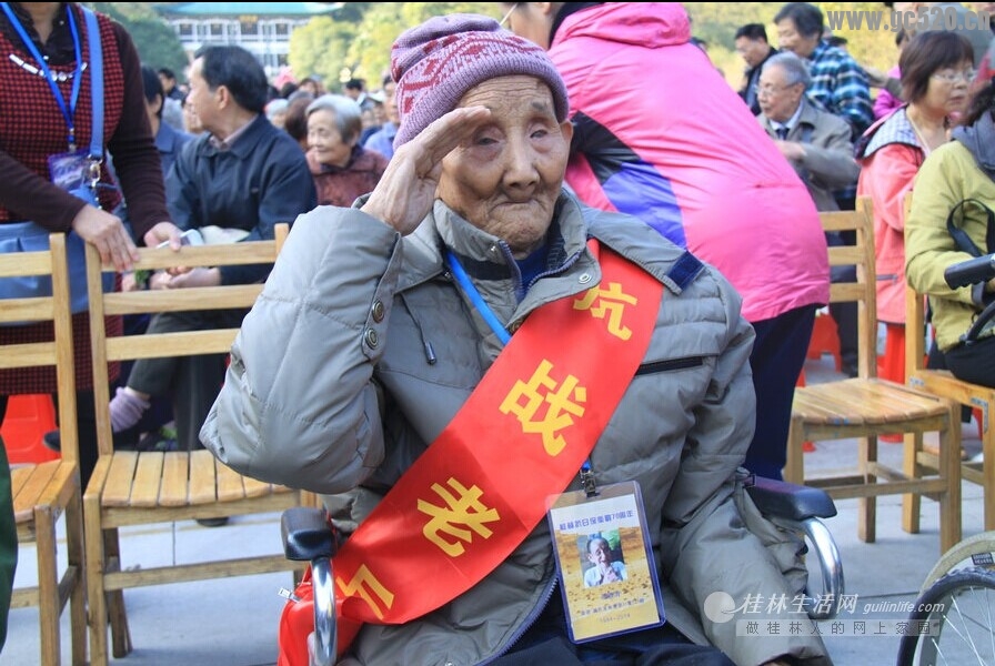 桂林社会各界纪念桂林抗日保卫战70周年 11位抗战老兵出席31 / 作者:九命猫 / 帖子ID:105701