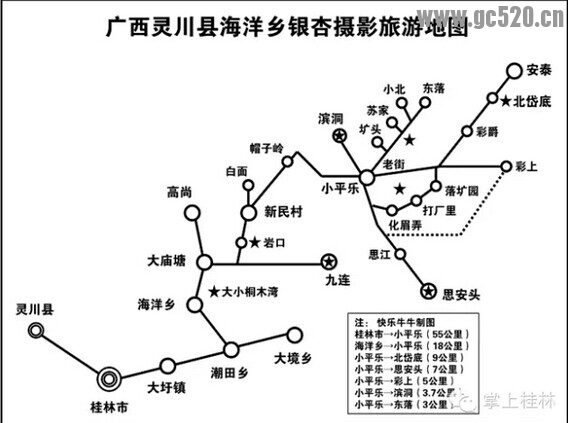 “中国银杏第一乡”徒步路线一览798 / 作者:黑白年代 / 帖子ID:105772