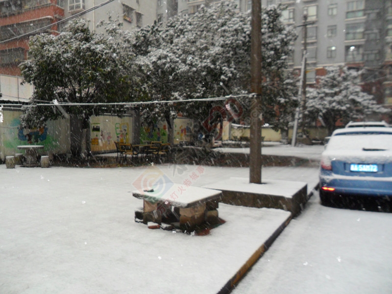 晶莹剔透的雪花洒了满地！…372 / 作者:建筑19551213 / 帖子ID:107582