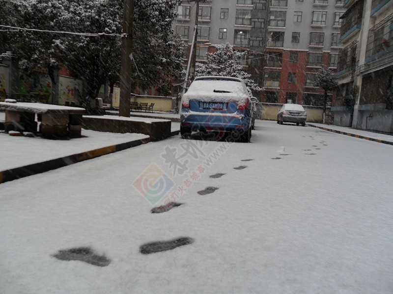 晶莹剔透的雪花洒了满地！…195 / 作者:建筑19551213 / 帖子ID:107582