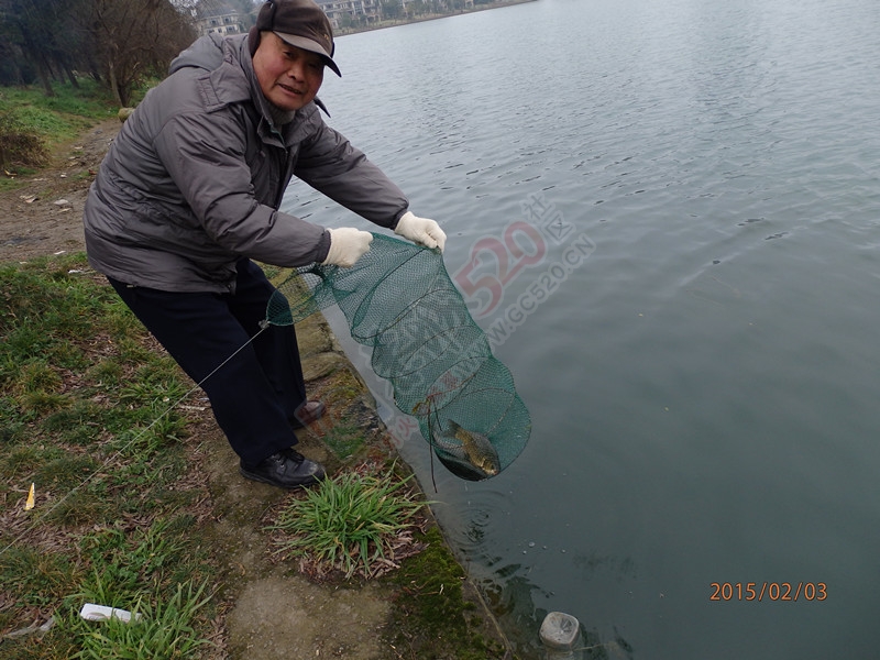 昨天出去走了走。看到这些钓鱼老头119 / 作者:建筑19551213 / 帖子ID:111843