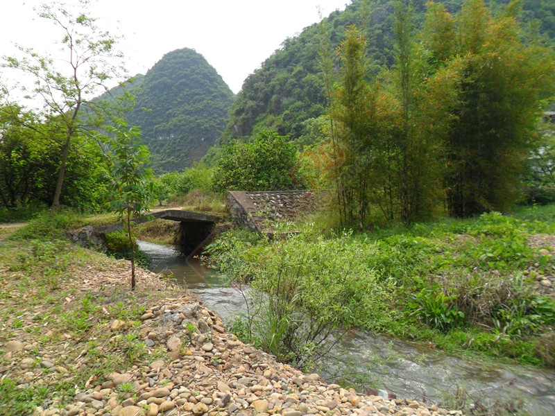 这里非常凉快523 / 作者:建筑19551213 / 帖子ID:115961