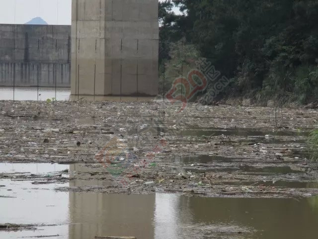 今天上午半天的渔获和一路风景 MDG902 / 作者:小绿 / 帖子ID:116681