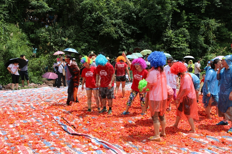 （恭城行者户外）携手520社区论坛平乐大发四冲&#8226;西红柿大战，群友风采485 / 作者:光头铁（老铁） / 帖子ID:118058