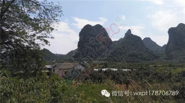 恭城惊现闯王李自成直系后裔隐居地--太平村，李自成创建天地会起源恭城并非空穴来潮892 / 作者:火星娃崽 / 帖子ID:120242