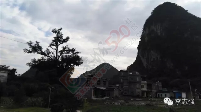 恭城惊现闯王李自成直系后裔隐居地--太平村，李自成创建天地会起源恭城并非空穴来潮706 / 作者:火星娃崽 / 帖子ID:120242