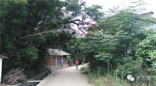 恭城惊现闯王李自成直系后裔隐居地--太平村，李自成创建天地会起源恭城并非空穴来潮479 / 作者:火星娃崽 / 帖子ID:120242