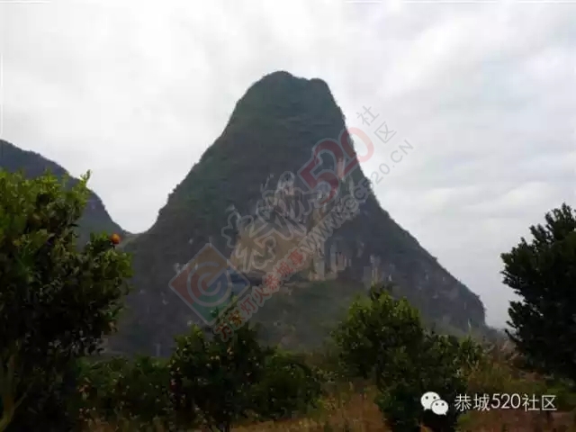 你知道吗?恭城还有一处神奇美丽的地方：原生态猫鼻山风景区254 / 作者:社区小编 / 帖子ID:120631