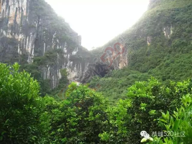 你知道吗?恭城还有一处神奇美丽的地方：原生态猫鼻山风景区214 / 作者:社区小编 / 帖子ID:120631