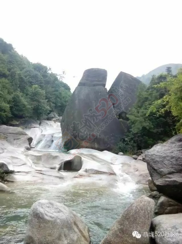 你知道吗?恭城还有一处神奇美丽的地方：原生态猫鼻山风景区811 / 作者:社区小编 / 帖子ID:120631