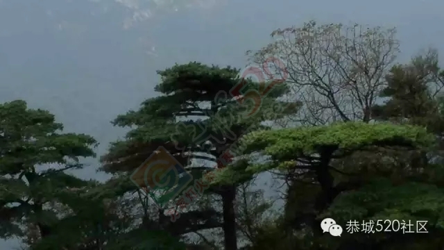 你知道吗?恭城还有一处神奇美丽的地方：原生态猫鼻山风景区844 / 作者:社区小编 / 帖子ID:120631