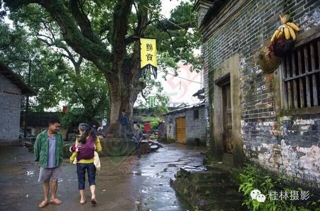 恭城西岭乡的杨溪村是一个家族古村。361 / 作者:讲话很闷骚 / 帖子ID:127672