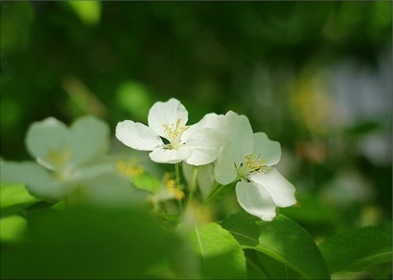 这一季，我只愿，花未谢，雨未消，你还在。872 / 作者:恭城520小奈姐姐 / 帖子ID:128406