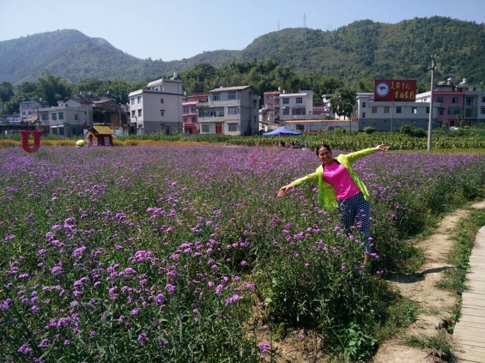 【恭城行者户外】相约你蒙山赏花，走天书峡谷活动14 / 作者:光头铁（老铁） / 帖子ID:128399