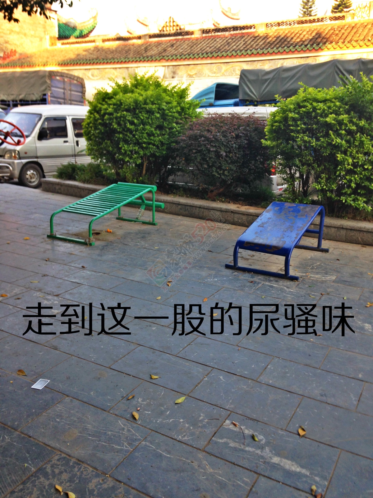 昔日的小广场如今已成了“垃圾堆”571 / 作者:恭城520小奈姐姐 / 帖子ID:128568