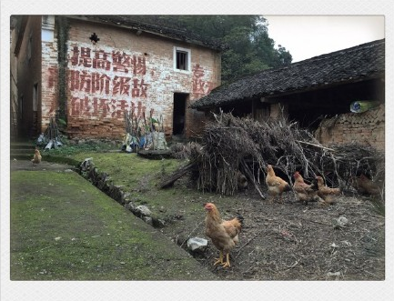 【历史的印记】一个风云动荡的红色年代，忆往昔峥嵘岁月稠——恭城98 / 作者:逢时 / 帖子ID:159540