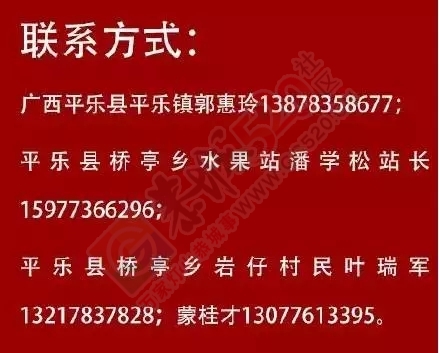 数万吨蜜桔柿子滞销烂在地里，广西水果怎么了？480 / 作者:渲染人生 / 帖子ID:160120