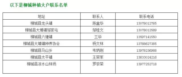 数万吨蜜桔柿子滞销烂在地里，广西水果怎么了？586 / 作者:渲染人生 / 帖子ID:160120