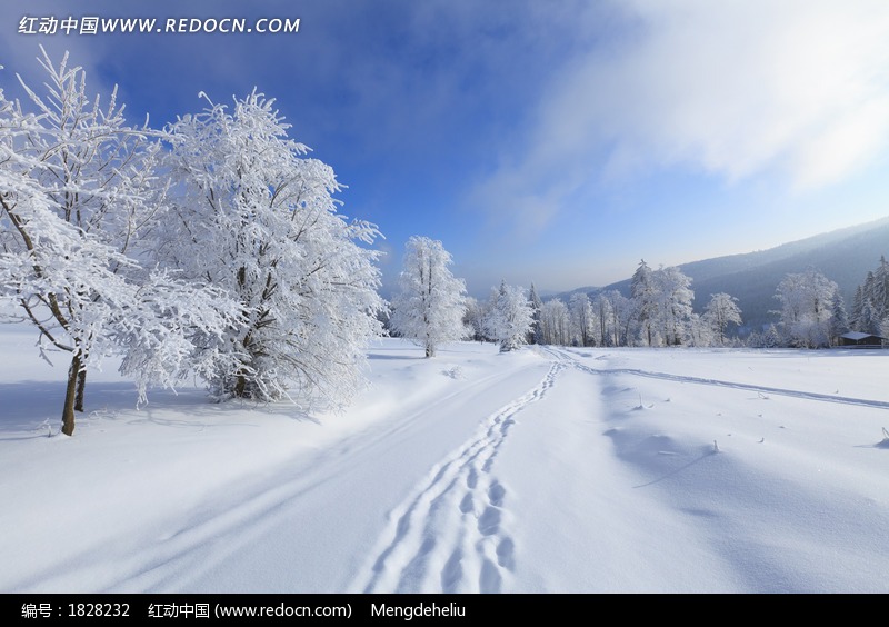 恭城期待的雪景857 / 作者:歌声回荡 / 帖子ID:161612