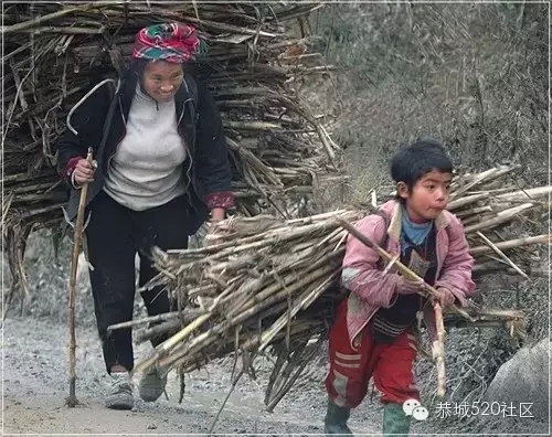 我是恭城乡下的，你会嫌弃我吗？293 / 作者:深秋的落叶 / 帖子ID:162490