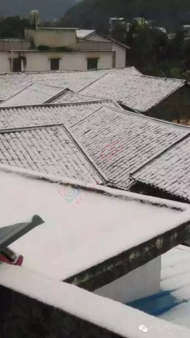 【雪景图集】恭城各地银装素裹，美得不要不要滴~~814 / 作者:深秋的落叶 / 帖子ID:162737