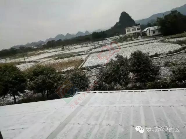 【雪景图集】恭城各地银装素裹，美得不要不要滴~~929 / 作者:深秋的落叶 / 帖子ID:162737