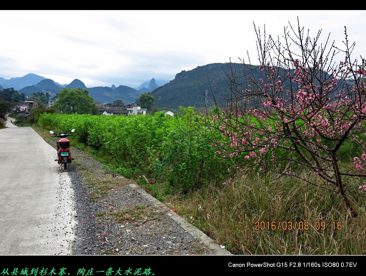 赏桃花、游山水，重温儿时旧梦。891 / 作者:平安大叔 / 帖子ID:164868