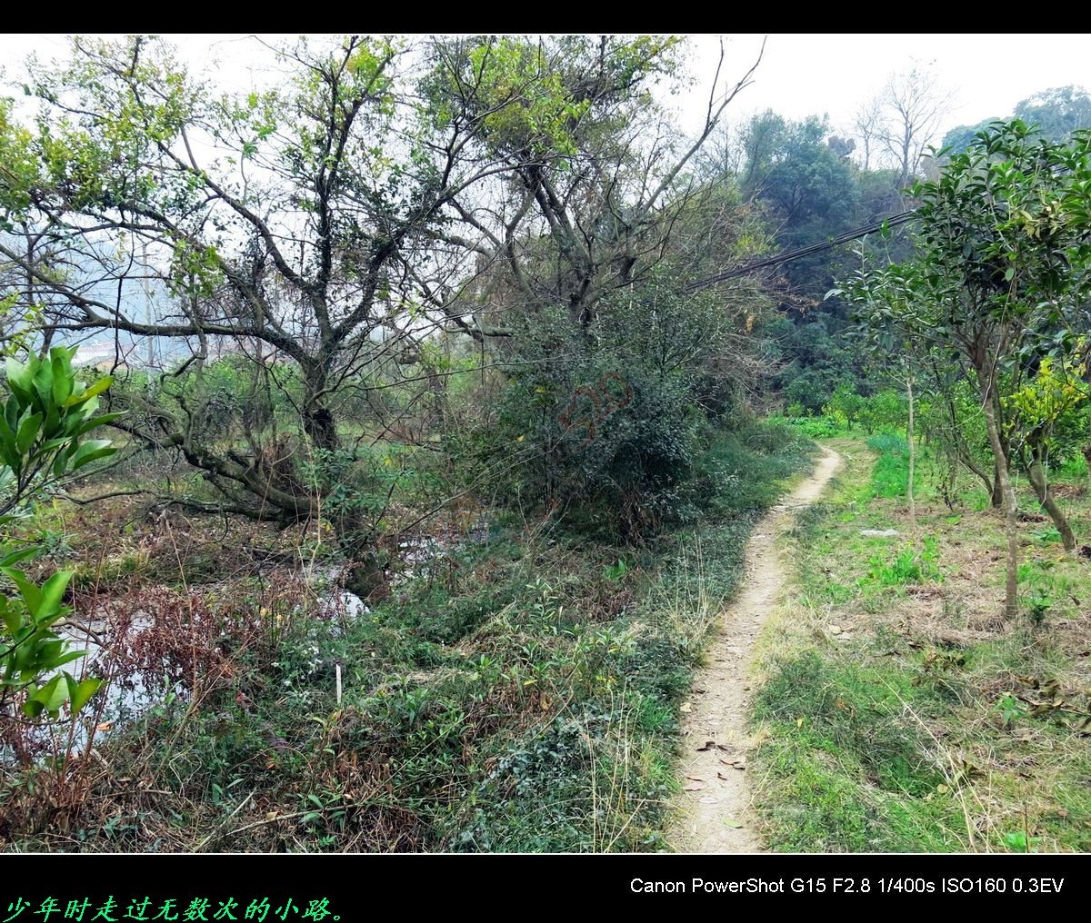 赏桃花、游山水，重温儿时旧梦。88 / 作者:平安大叔 / 帖子ID:164868