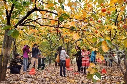 没有恭城女人，恭城将失去半壁江山！355 / 作者:今日恭城 / 帖子ID:165157