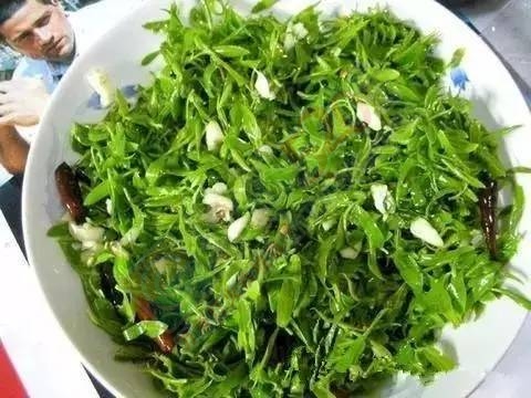 你吃过恭城的这几种野菜吗？923 / 作者:罗马的天空 / 帖子ID:167977