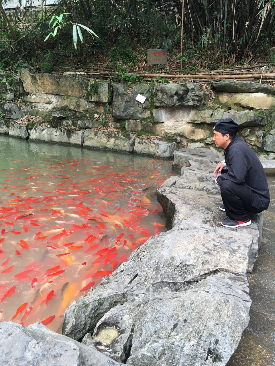 恭城人到荔浦银子岩一游506 / 作者:千变万幻 / 帖子ID:173550