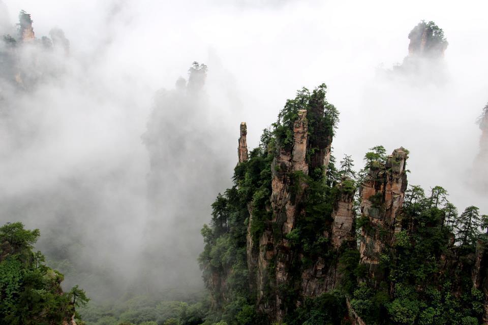 雨后张家界的云海——————人间仙境853 / 作者:旅游风光 / 帖子ID:174417