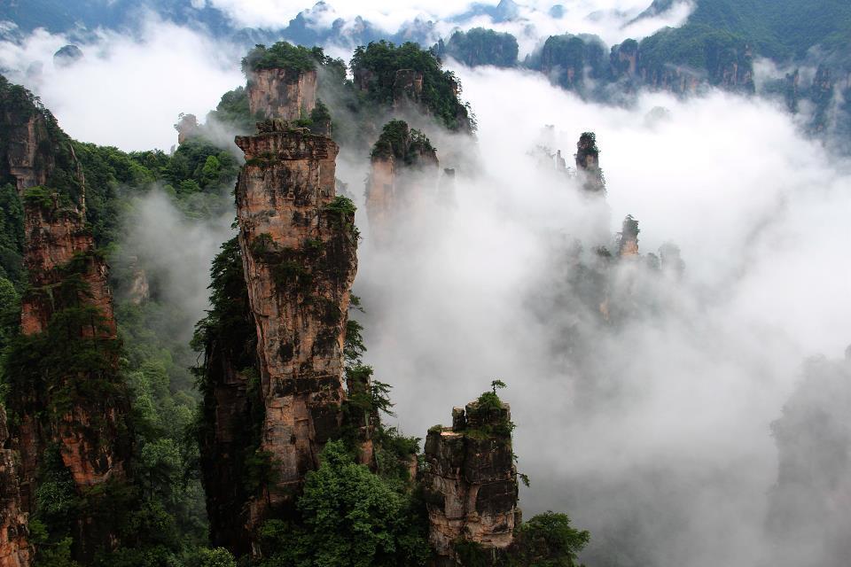 雨后张家界的云海——————人间仙境110 / 作者:旅游风光 / 帖子ID:174417