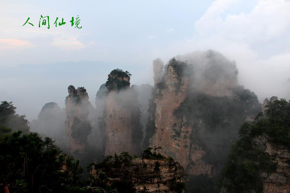 雨后张家界的云海——————人间仙境921 / 作者:旅游风光 / 帖子ID:174417