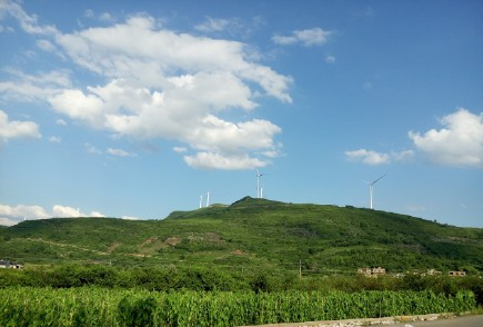 西岭风力发电，既要金山银山，又要绿水青山502 / 作者:小小牵牛花 / 帖子ID:174966