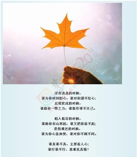 落叶才知秋，落难才知友!734 / 作者:罗少爷 / 帖子ID:178340