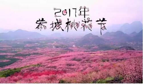 第十五届桂林恭城桃花节旅游扶贫公益行动——爱的桃花季，因你更烂漫！35 / 作者:罗少爷 / 帖子ID:192666