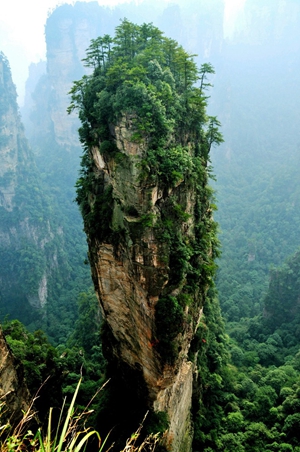 我与闺蜜们圆梦张家界阿凡达之旅的美好旅程415 / 作者:生活悠悠过 / 帖子ID:202339